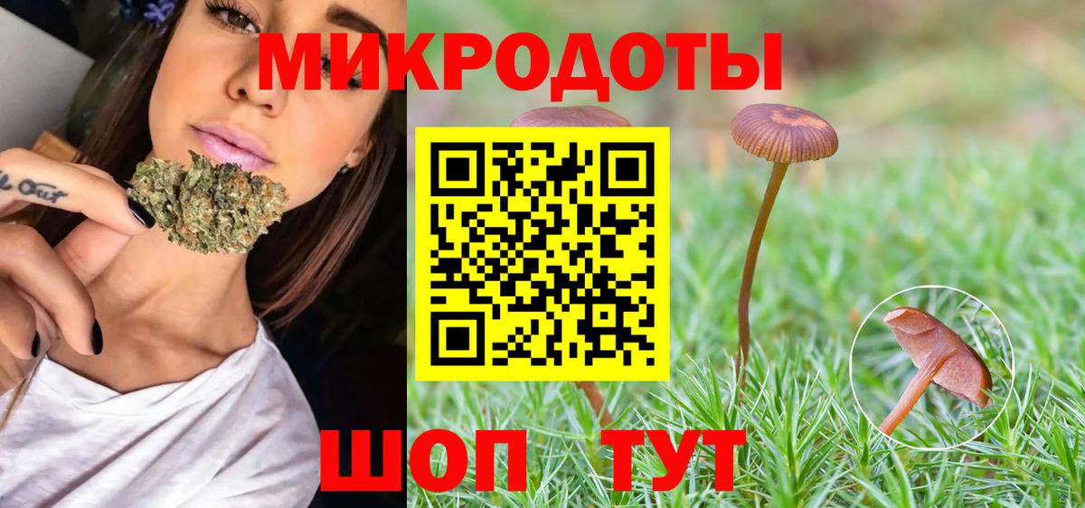 Псилоцибиновые грибы мицелий Курчатов